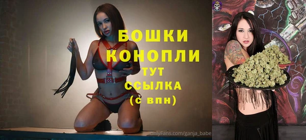 PSILOCYBIN Медногорск