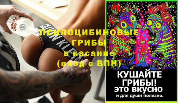 PSILOCYBIN Медногорск