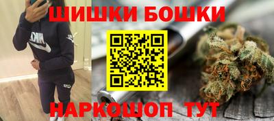 бошки Будённовск