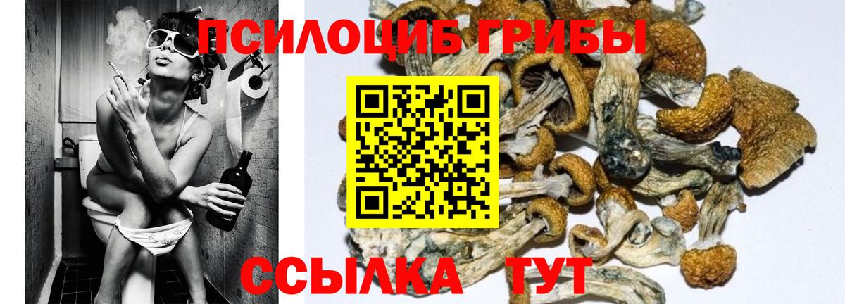 Фрязино  Галлюциногенные грибы Magic Shrooms  Вход с VPN  Псилоцибиновые грибы Cubensis 