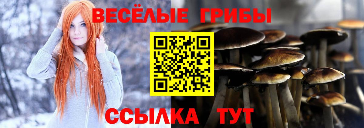 Псилоцибиновые грибы GOLDEN TEACHER  закладки  Фрязино 