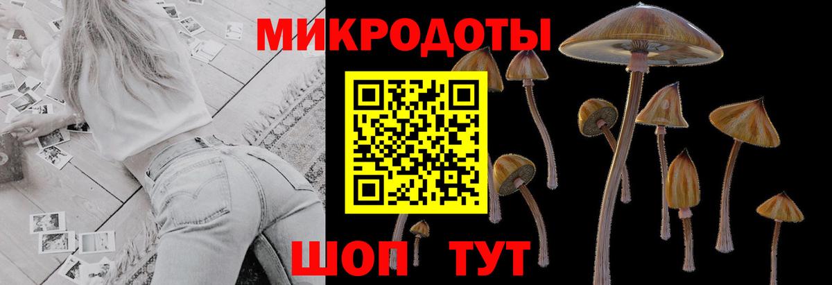 Псилоцибиновые грибы ЛСД Фрязино